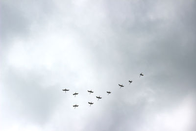 Low angle view of birds flying against sky