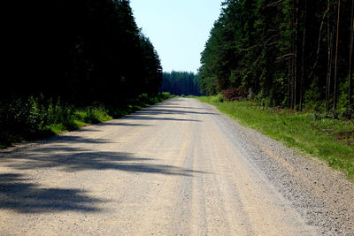 Empty road along trees