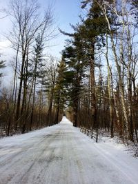 Snow covered road amidst trees in forest