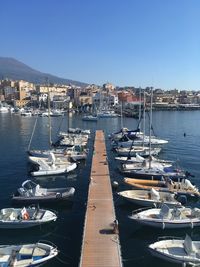 The port of torre del greco, napoli