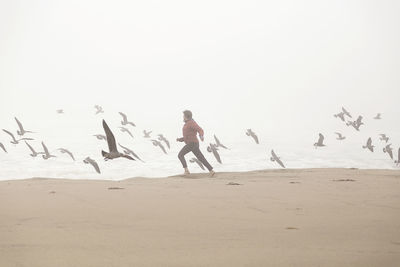 Birds flying over beach against sky