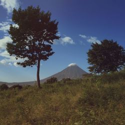 Scenic view of landscape against sky