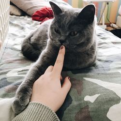 Midsection of woman with cat on bed