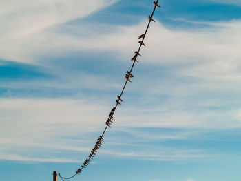 Low angle view of telephone pole against sky