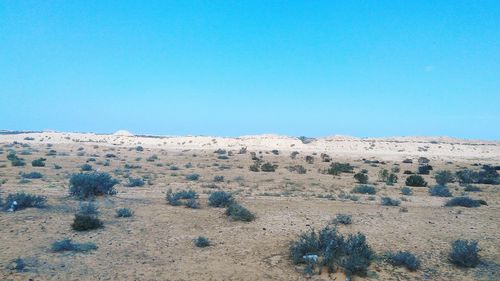 Scenic view of arid landscape against clear blue sky