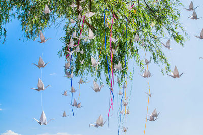 Low angle view of tree against sky