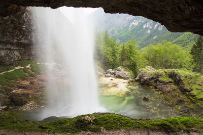 Scenic view of waterfall in forest