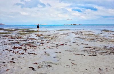 Scenic view of beach against sky