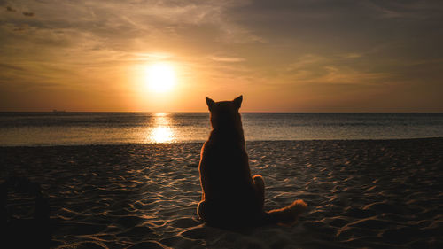 Scenic view of sea at sunset