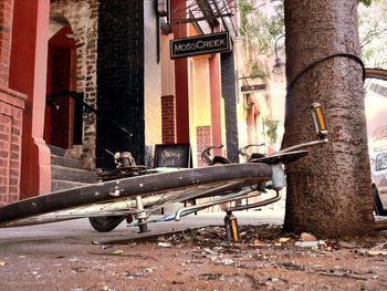 Horse cart in front of building