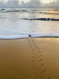 Scenic view of beach against sky