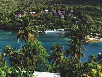 Scenic view of palm trees by sea