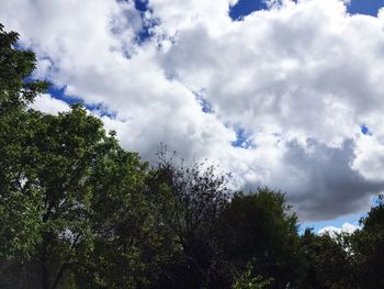 Low angle view of trees against cloudy sky