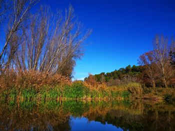 Scenic view of lake against clear blue sky