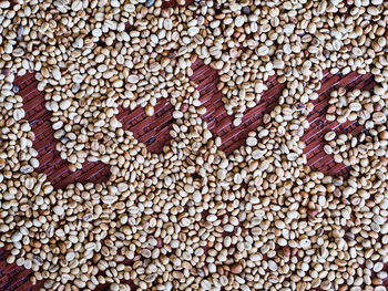 Full frame shot of coffee beans