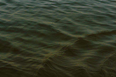 Full frame shot of rippled water