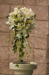 Close-up of potted plant against white wall