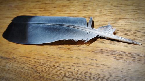 Close-up of wooden plank