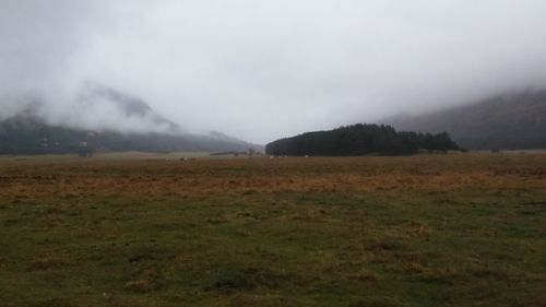 Scenic view of field against sky during foggy weather