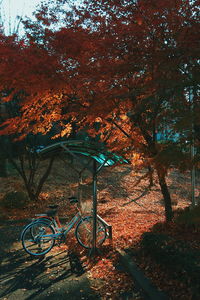 Bicycle against trees during autumn