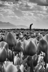 Silhouette of woman against cloudy sky
