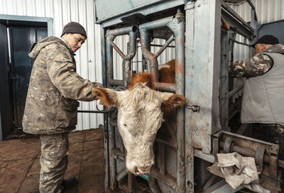 Equipped with scanner, cattle in setting, blends rustic elements with technology, smart farming