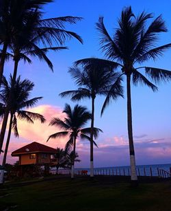 Silhouette palm trees on beach against sky during sunset