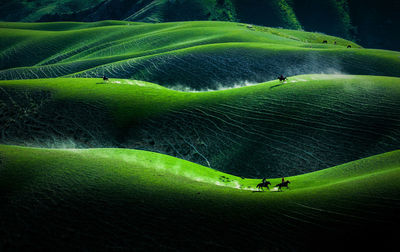 Close-up of green leaf