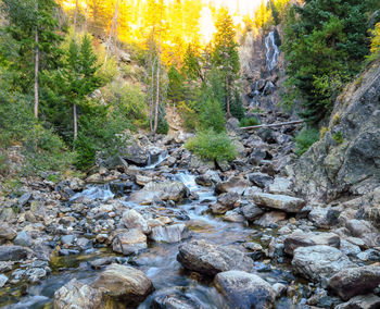 Stream flowing through rocks in forest