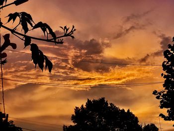 Low angle view of silhouette trees against sky during sunset