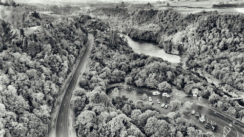 High angle view of river amidst trees