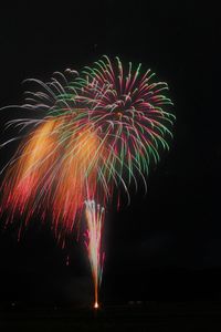 Low angle view of firework display at night