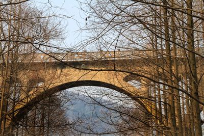 Low angle view of bare trees and arch bridge against sky