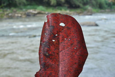 red