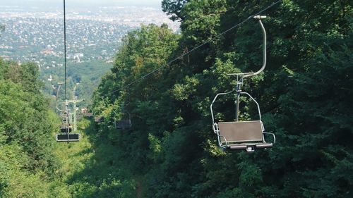 Digital composite image of overhead cable car in forest