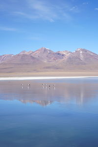 Scenic view of lake and mountains against blue sky