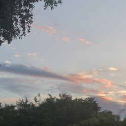 Low angle view of trees against sky during sunset