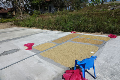 High angle view of red flower on footpath by street in city