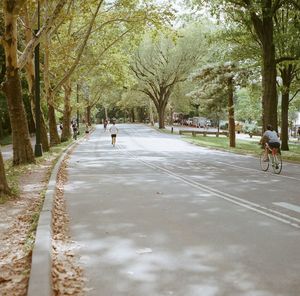 Rear view of woman riding bicycle on road at park