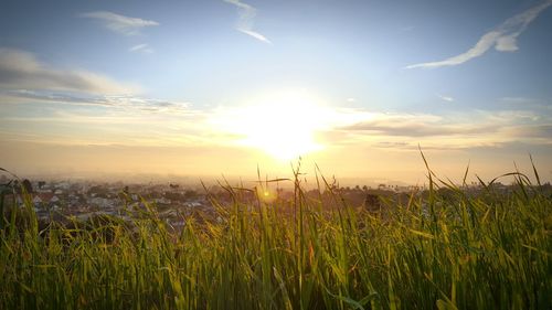 Scenic view of field against sky at sunset