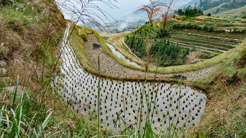 Aerial view of rural landscape