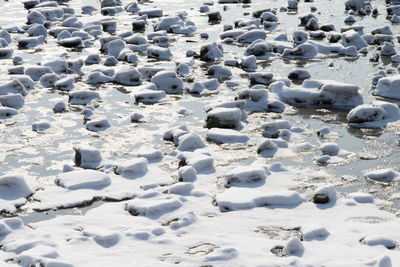 Rocks on beach during winter