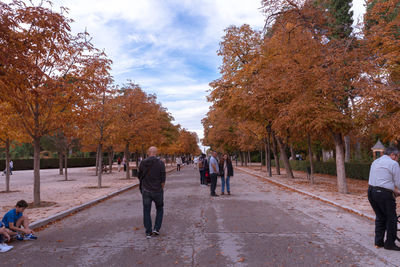 People walking on footpath by autumn trees in city