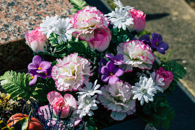 High angle view of pink flowering plants