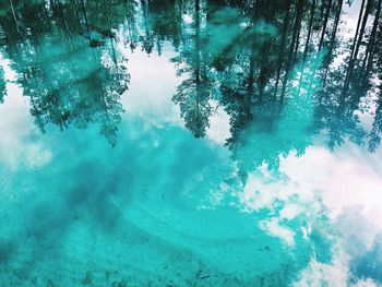 Reflection of trees in lake