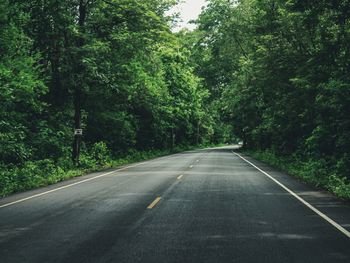 Road amidst trees