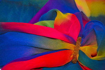 Close-up of multi colored flower