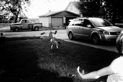 Close-up of dog in the background