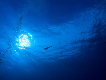 Man swimming in sea