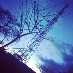 Low angle view of bare trees against blue sky